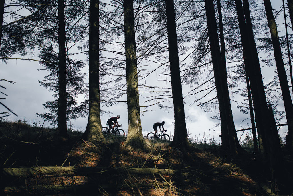 Gravel Cycling Through the Trees